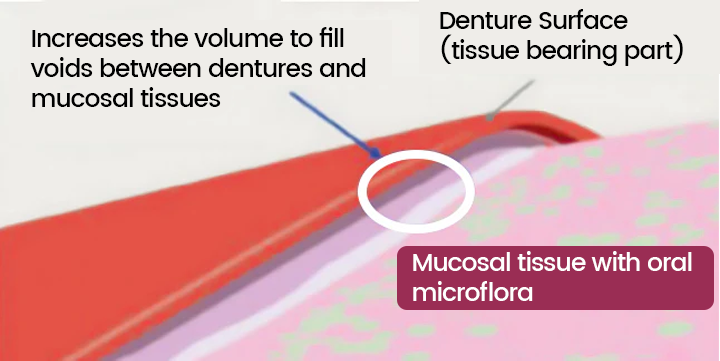 DentLock® UltraBond Premium Denture Adhesive 🔥 FDA Certified (Clinically Proven 4-Day Hold for Secure, Comfortable & Zinc-Free Denture Fit 🦷)