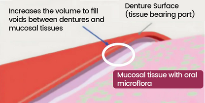 DentLock® UltraBond Premium Denture Adhesive 🔥 FDA Certified (Clinically Proven 4-Day Hold for Secure, Comfortable & Zinc-Free Denture Fit 🦷)